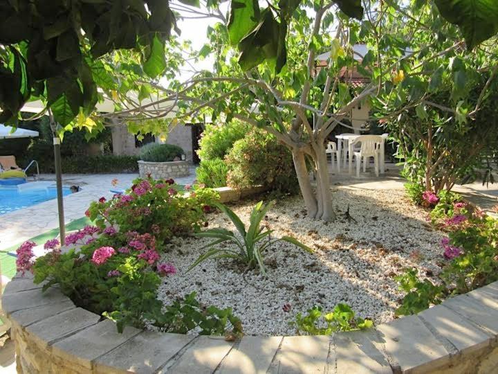 Anna Maria Villa Peyia Luaran gambar